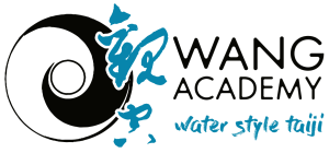 logo Wang Academy